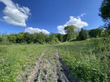 Plain pied GOUFFERN EN AUGE calme 2,5 Hectares